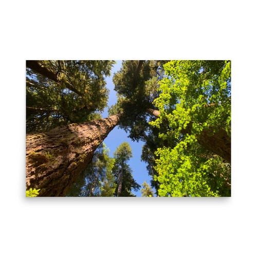 Landscape poster wall art - wall,